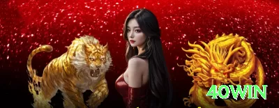 017brl Elite APK v5.3.2 Screenshot 2 - 40win 🎰💡 Jackpots progressivos atraem pela premiação alta, mas são improváveis; jogue pelo entretenimento e com moderação. 💵